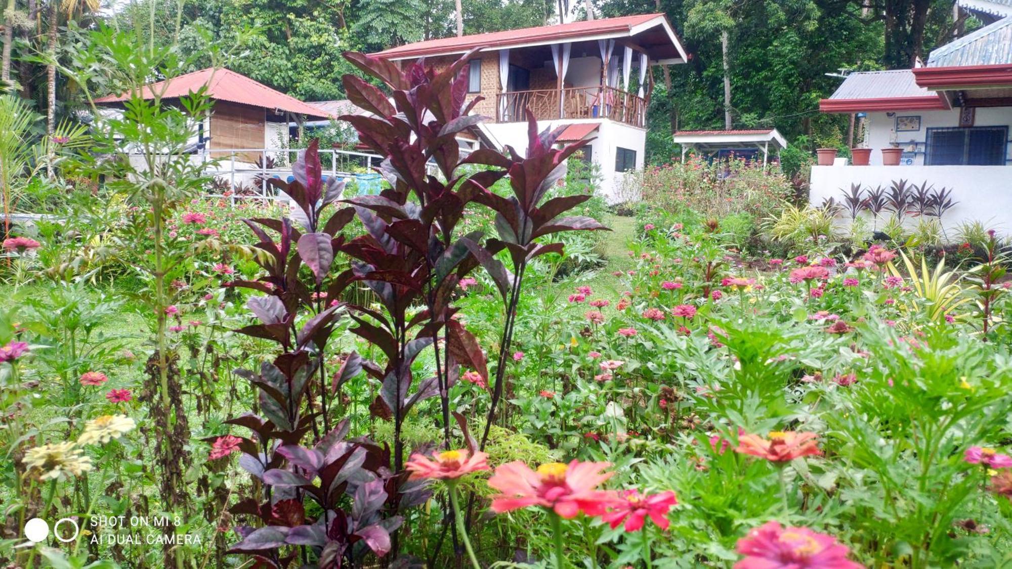 Sun House Rental Mambajao Zewnętrze zdjęcie